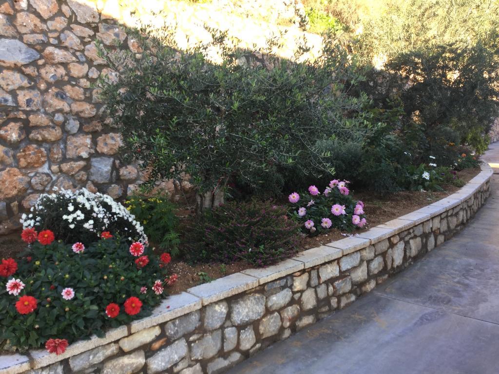 Petra Thea Apartment Kalamata Bagian luar foto
